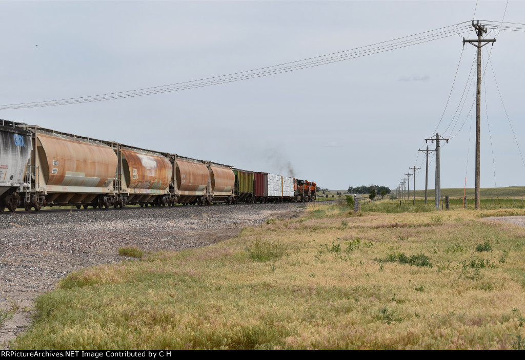 BNSF 8036/6754/1031